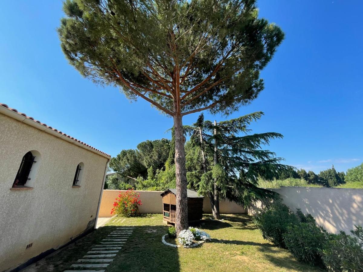 Annexe Des Pins - Studio Gite Avec Piscine & Climatisation Villeneuve-lès-Béziers Exteriér fotografie